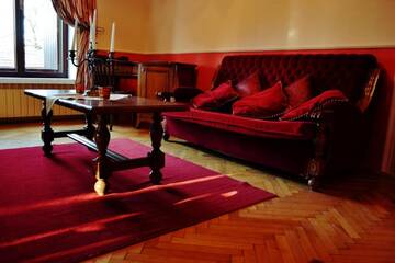 Фото номера Представительский люкс Гостевой дом Villa Castelul Maria г. Banpotoc 8
